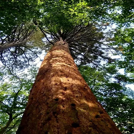 In Wendorf (Kuhlen-Wendorf)