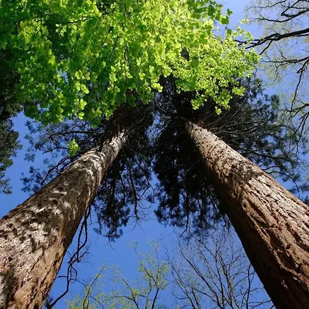 In * Wendorf (Kuhlen-Wendorf)