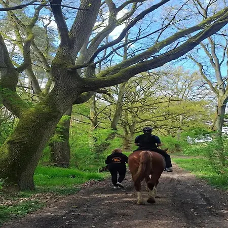 In Tatil Evi Wendorf (Kuhlen-Wendorf)